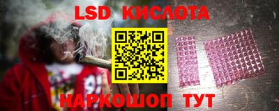 прущие крисы Новодвинск
