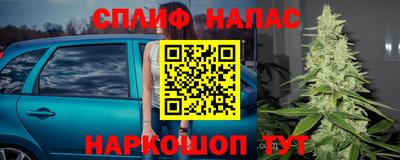 прущие крисы Новодвинск
