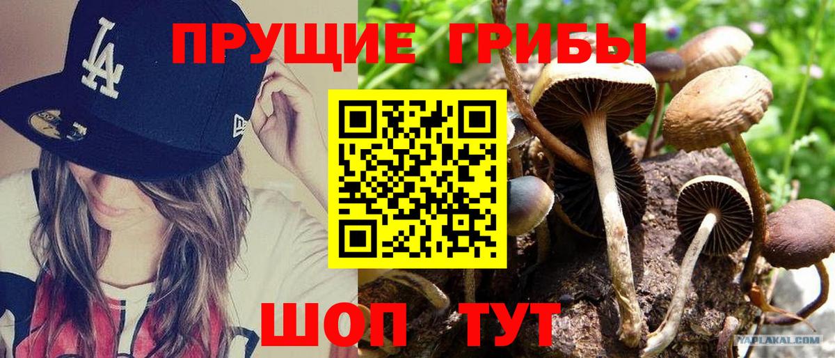Псилоцибиновые грибы MAGIC MUSHROOMS  Вход с VPN  Сланцы 