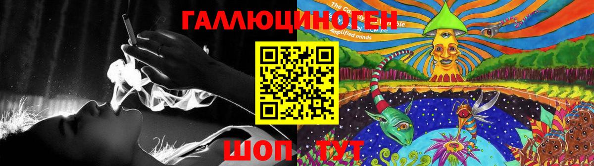 Галлюциногенные грибы Psilocybe Сланцы